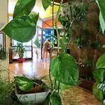 Capo Hotel Noli