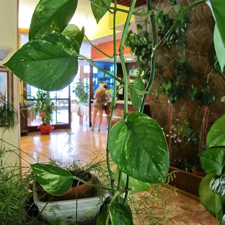 Capo Hotel Noli